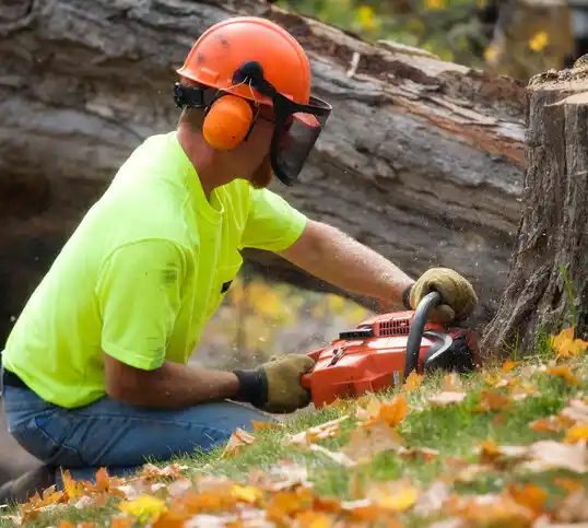 tree services Grenada